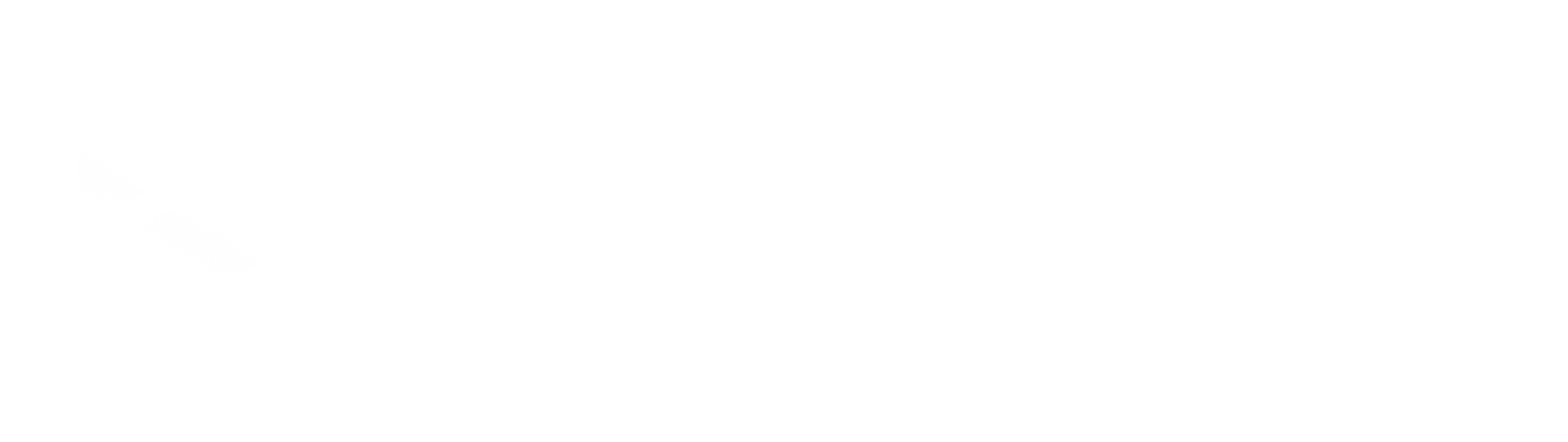 Flywheel Logo